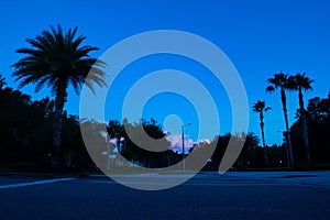 Beautiful sun set  in flroida