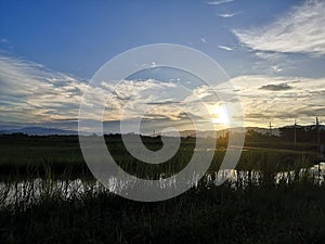 Beautiful sun sets on the rice field