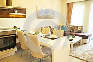 Beautiful sun side appartment with simple minimalistic modern interior design, open plan kitchen living room in sunlight.