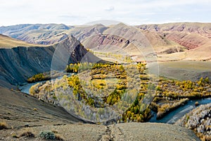 Beautiful Sun valley and the open river Kyzyltan between the mountains with lush clouds. Autumn forest of Altai, autumn, adventure