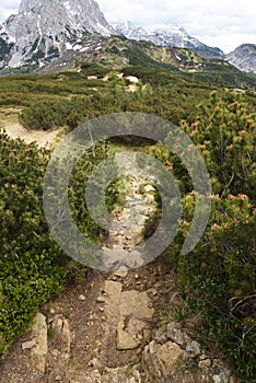 A beautiful Sunday hiking cima di lanza photo