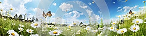 Beautiful sundrenched spring summer meadow Natural colorful panoramic 1690448048243 2