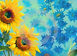 Beautiful sunflowers and blue cornflowers on blue background