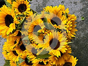 Beautiful sunflowers at farmer\'s market in Carmel