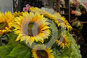 Beautiful sunflowers in a flower shop