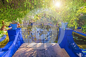 Beautiful sunlight over Le Jardin Majorelle