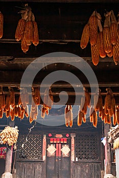 Beautiful sunlight shines on ancient chinese house and corn drying hanging around the interior of a house. Chengzi Village, the