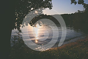 Beautiful sunlight through tree leaves and lake view in front