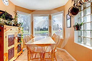 Beautiful sunny angled dining room photo