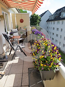 beautiful sunny balcony with flowers and parasol