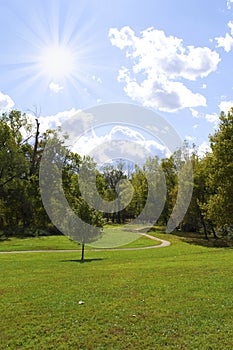 Beautiful, Sunny Day at the Park