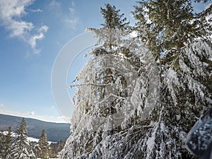 Beautiful sunny day on slopes of snowshoe mountain in cass west