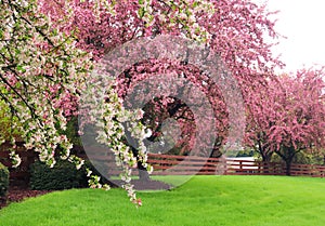 Beautiful sunny day spring nature background