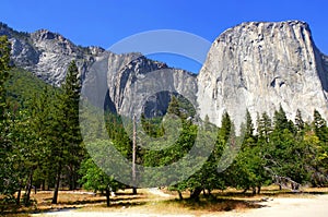 Beautiful sunny day in Yosemite national park, california, USA