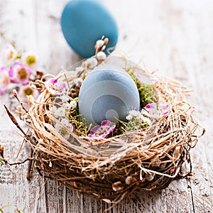 Beautiful, sunny easter greeting card - with blue colored eggs and a natural nest