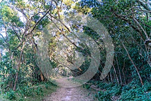The beautiful sunny hiking road in Sai Kung East Country Park in Hong Kong