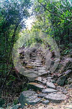 The beautiful sunny hiking road in Sai Kung East Country Park in Hong Kong