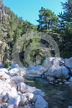 Beautiful Sunny lagoon in rocks and greenery with clear water