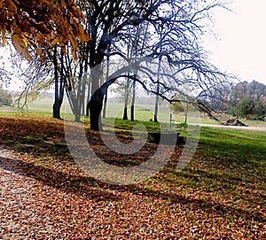 Beautiful sunny meadow in Fall