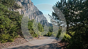 Beautiful sunny road through a mountain pass among evergreens trees and pines