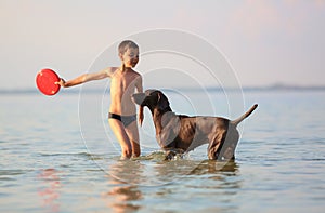 Beautiful sunny summer day. A boy runs with the dog in the lake, splashing the water around. Playful, happy childhood moments.