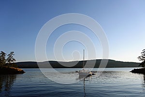 A beautiful sunny summer day in the gulf islands with sailboats resting on the calm ocean surrounded by scenic forested coastline