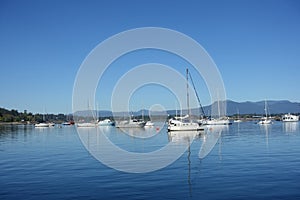 A beautiful sunny summer day in the gulf islands with sailboats resting on the calm ocean surrounded by scenic forested coastline