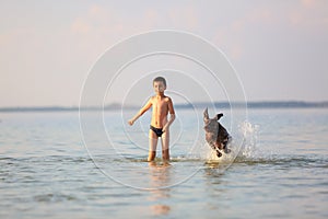 Beautiful sunny summer scenery. On the day the small boy is playing, running jumping with the hunting brown dog at the lake.