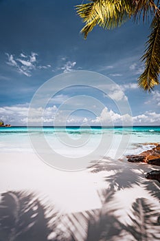 Beautiful sunny tropical sandy beach. Palm trees, blue sky and white clouds. Holiday vacation concept