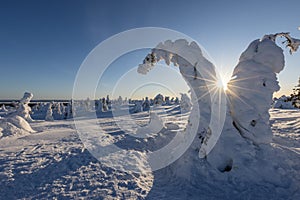 Beautiful sunny winter day on the fell in Lapland, Riisitunturi