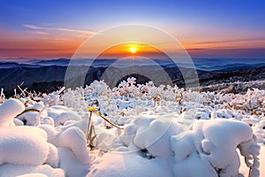Beautiful sunrise on Deogyusan mountains covered with snow in wiin winter, Korea.