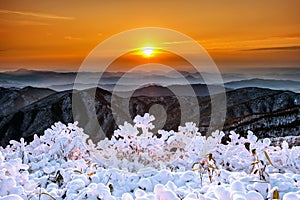 Beautiful sunrise on Deogyusan mountains covered with snow in winter, Korea.