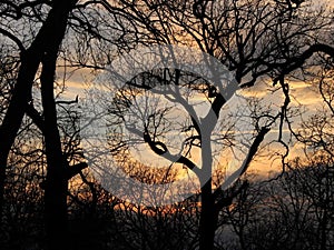 A beautiful sunrise on a foggy morning