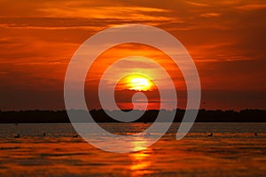 A beautiful sunrise on a lake in Danube Delta