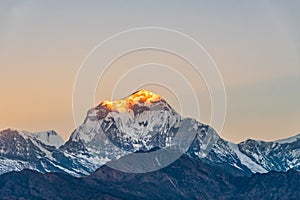 Beautiful sunrise light kissing Dhaulagiri mountain summit viewed from Poonhill Ghorepani Nepal