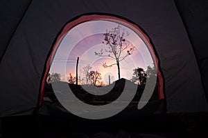 Beautiful Sunrise Morning from iNside of Tent. Camping with SUV Car in Front and Forrest