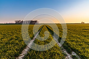 Beautiful sunrise at morning over huge fields