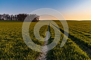 Beautiful sunrise at morning over huge fields