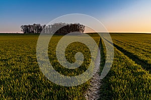 Beautiful sunrise at morning over huge fields