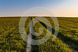 Beautiful sunrise at morning over huge fields