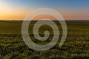 Beautiful sunrise at morning over huge fields