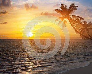 Beautiful sunrise over the caribbean tropical beach
