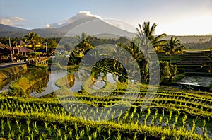 Beautiful sunrise over the Jatiluwih Rice Terraces in Bali.