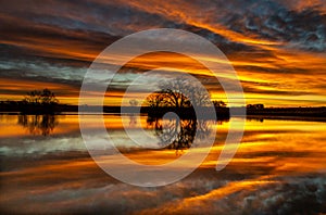 Beautiful Sunrise over a Lake in Colorado