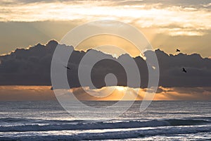 A beautiful sunrise over the sea, Australia