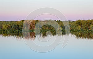 A beautiful sunrise over wetlands in Central Florida