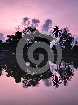 Beautiful sunrise in pink colors and silhouettes of tropical trees as a background.