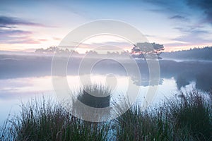 Beautiful Sunrise by a pond in Holland.