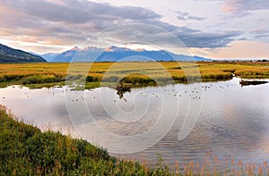 Beautiful sunrise at Potter Marsh Wildlife Viewing Boardwalk, Anchorage, Alaska. Potter Marsh is located at the southern end of th