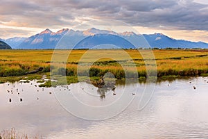 Beautiful sunrise at Potter Marsh Wildlife Viewing Boardwalk, Anchorage, Alaska. Potter Marsh is located at the southern end of th